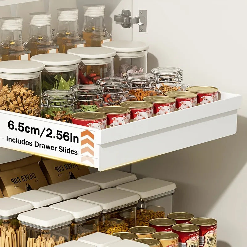 Magic Slide-Out Organizer